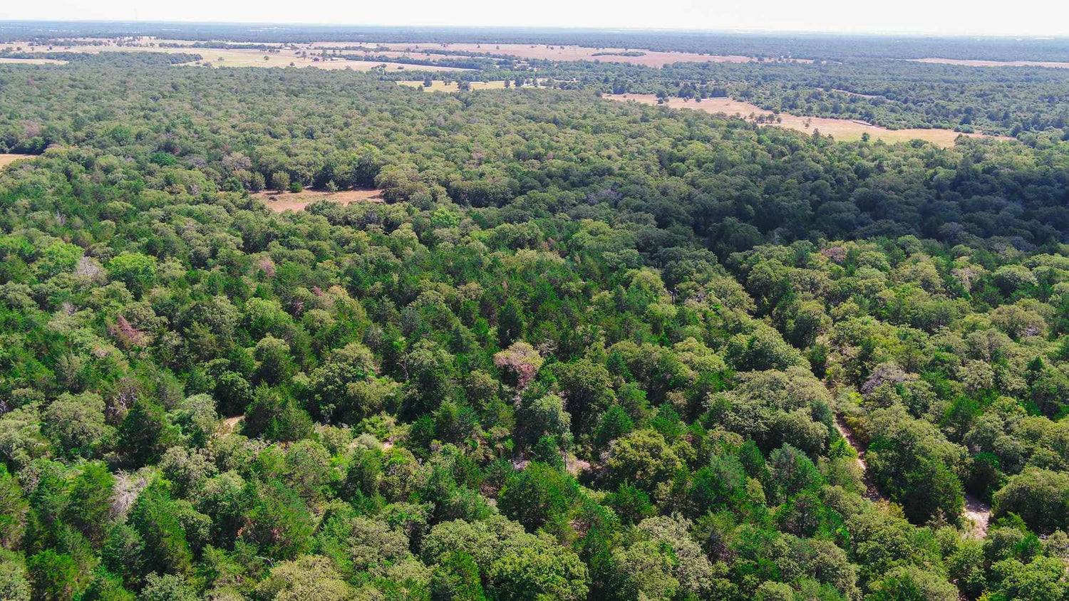 Admiration aerial view CHSLDRANCH in Caldwell Texas 